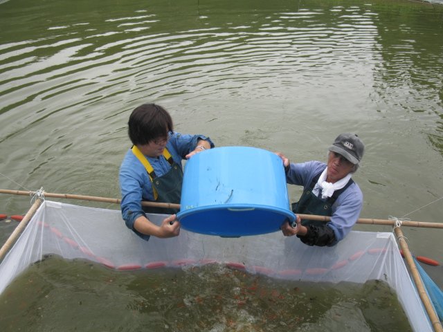 f0214235_21175612.jpg