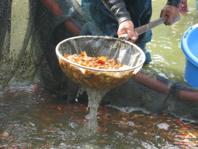 f0214235_212446.jpg