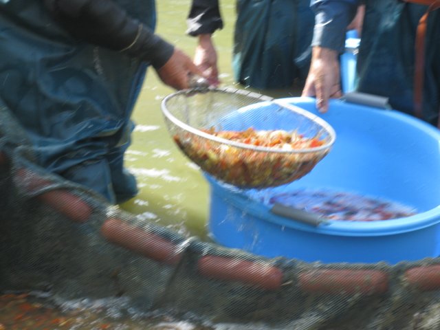 f0214235_2125522.jpg