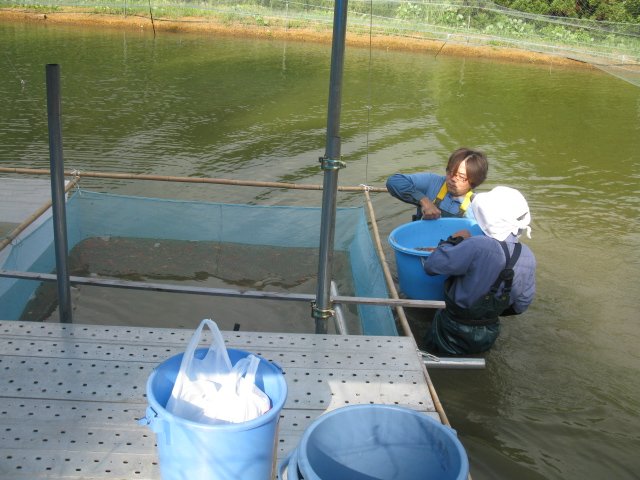f0214235_2184577.jpg