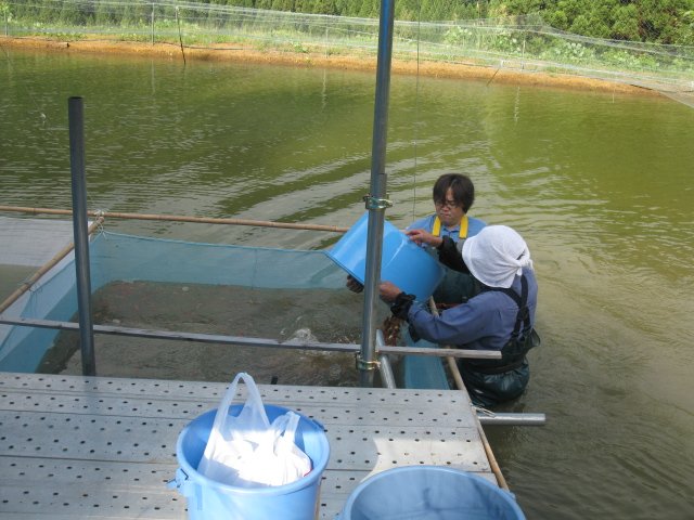 f0214235_2191890.jpg