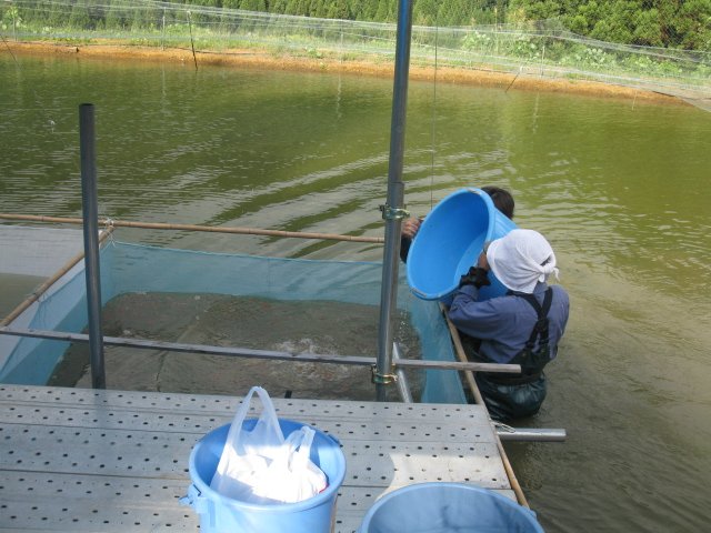 f0214235_21930100.jpg