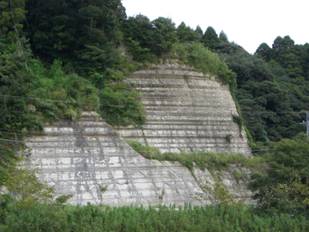 地層見学 千葉県いすみ環境と文化のさとセンター