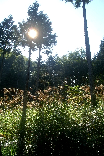 f0114346_20112819.jpg