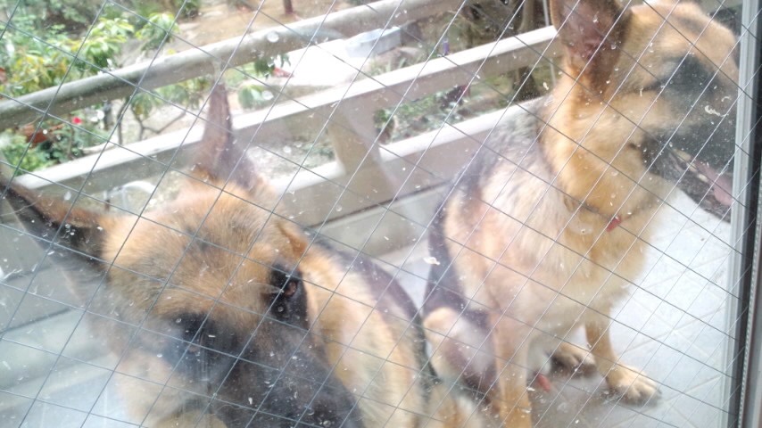 f0141846_1711653.jpg