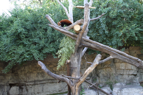b0207658_14224464.jpg