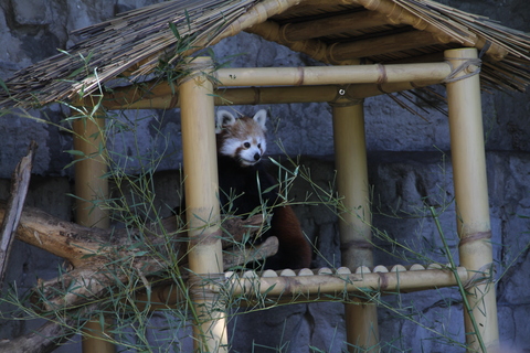 b0207658_14401336.jpg