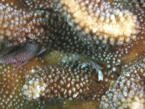 c0180460_3273112.jpg