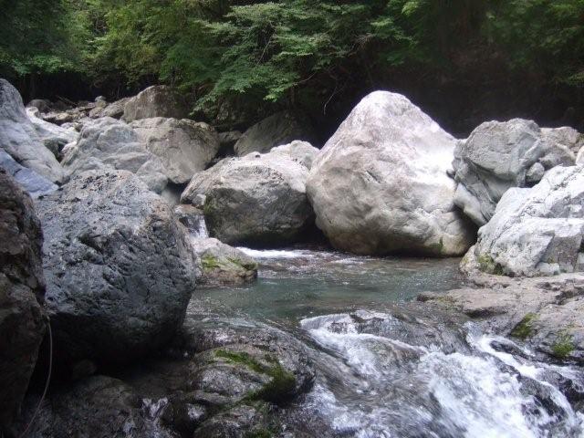 2010.9.9平家平～ボタモチ山～山姥岳周回_c0219866_11482229.jpg