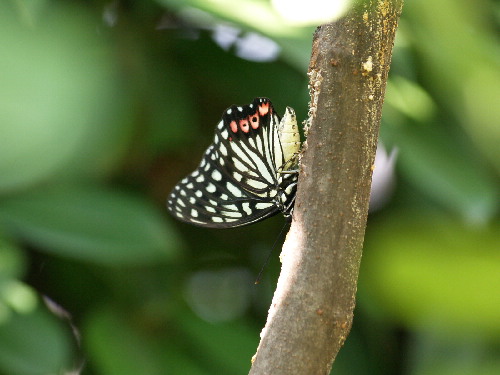 f0208666_15345096.jpg