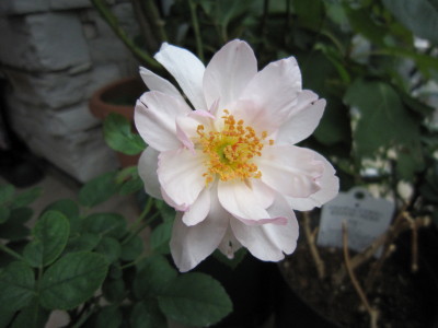 c0202870_0283690.jpg