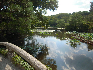 旅日記－３　「龍安寺」_e0033570_17484441.jpg