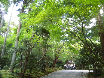 旅日記－３　「龍安寺」_e0033570_17495278.jpg