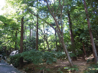 旅日記-3 「龍安寺」_e0033570_17501250.jpg