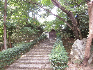 旅日記-3 「龍安寺」_e0033570_1750289.jpg