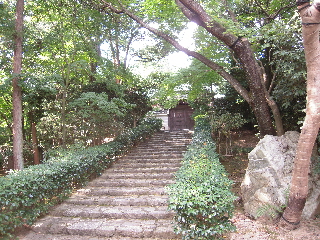 旅日記－３　「龍安寺」_e0033570_1750289.jpg