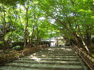 旅日記－３　「龍安寺」_e0033570_17505089.jpg