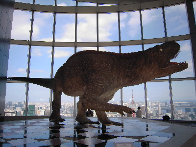 『地球最古の恐竜展／天空の恐竜ミュージアム』_e0033570_745312.jpg