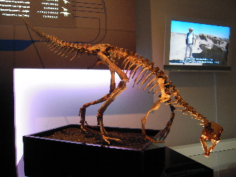 『地球最古の恐竜展/天空の恐竜ミュージアム』_e0033570_757882.jpg