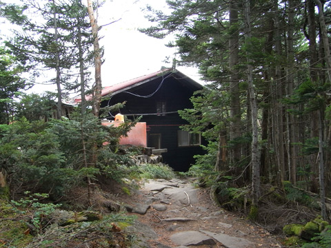 麦草峠から丸山を通り白駒池へ_f0202271_1857952.jpg