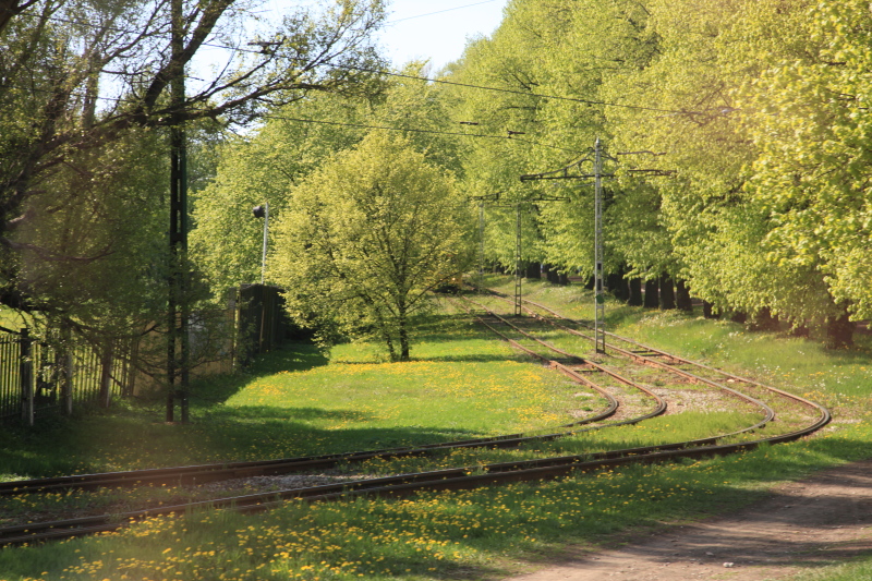 c0187779_5492171.jpg
