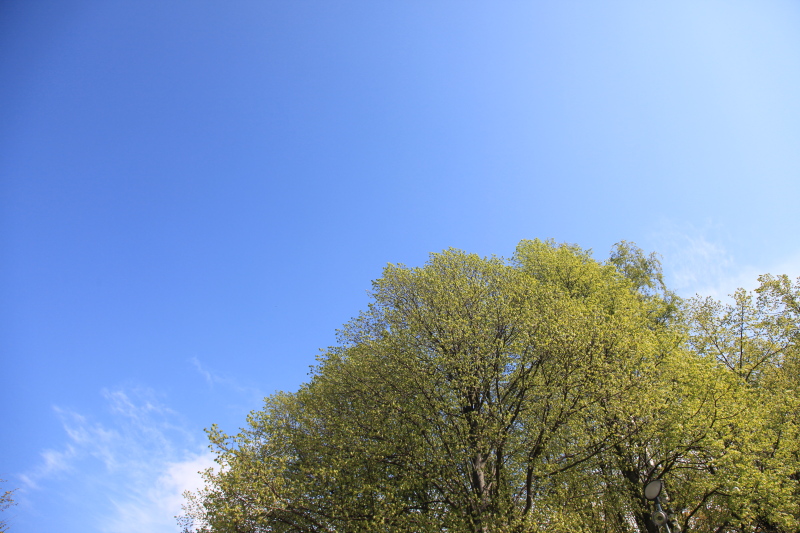 c0187779_558791.jpg