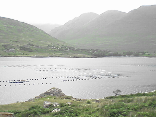 c0069380_1232084.jpg