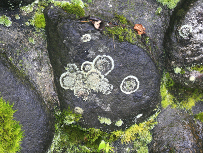 c0152883_903011.jpg