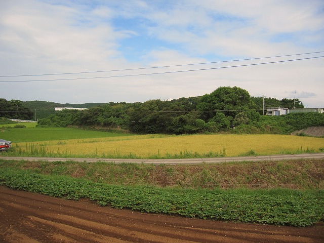 b0182884_1212817.jpg