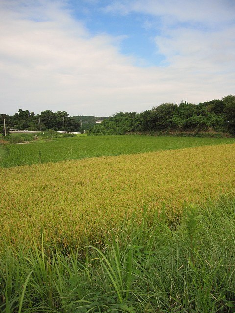 b0182884_3325885.jpg