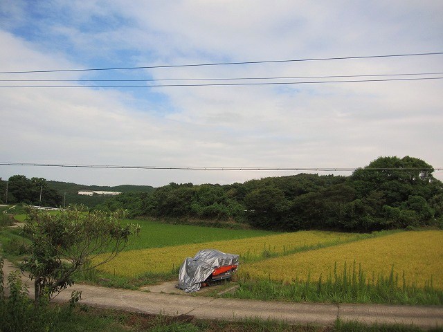 b0182884_332928.jpg