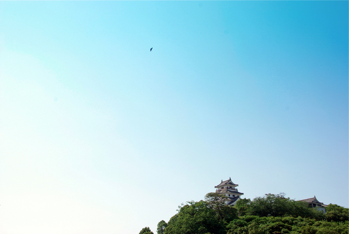 c0150986_71221.jpg