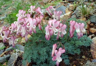 c0018489_022443.jpg