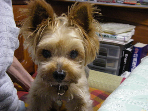 c0191390_22164040.jpg