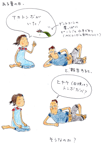 f0236291_105728.gif