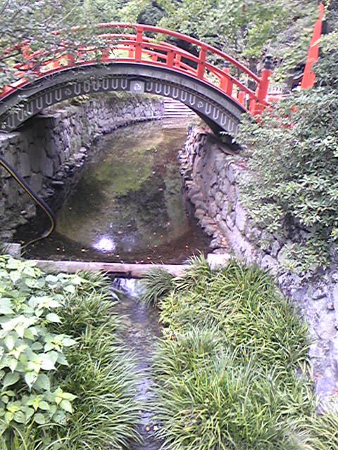 京都　下鴨神社と糺の森_d0164393_13282511.jpg