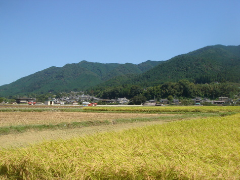 e0111793_21364029.jpg