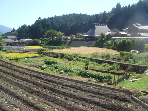 e0111793_21372633.jpg