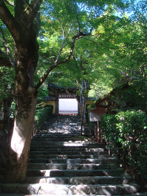 e0111793_2152167.jpg