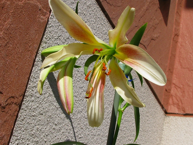 f0181394_15163487.jpg