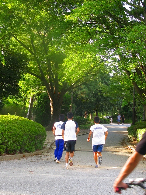 f0181394_15472938.jpg