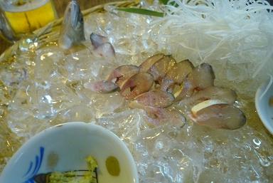生うるか_d0087595_1011334.jpg