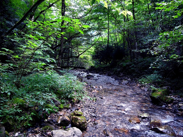 d0166900_20234621.jpg