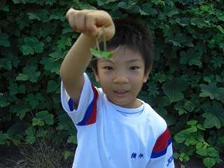 『Joyっ子塾』_d0027501_1846333.jpg