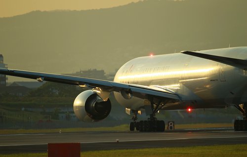 d0182403_8393324.jpg