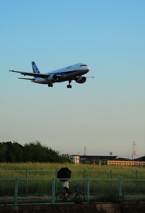 d0182403_84073.jpg