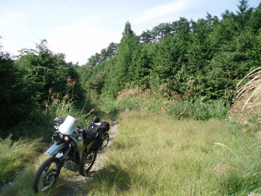 e0118908_21271724.jpg