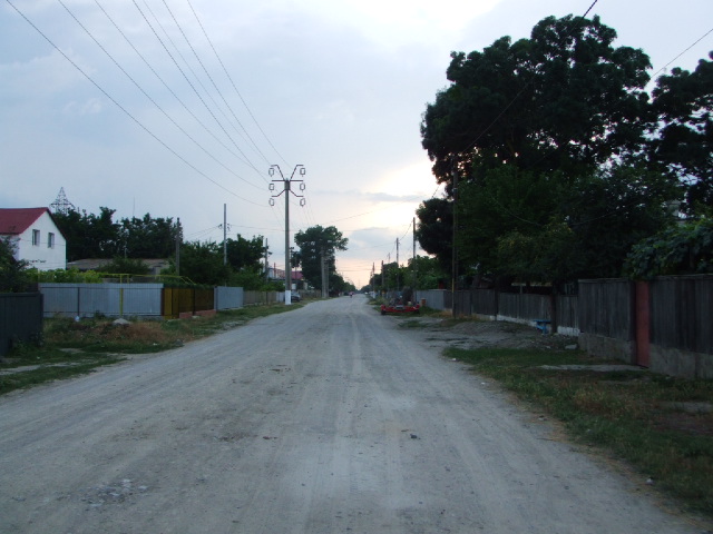 e0176809_947763.jpg