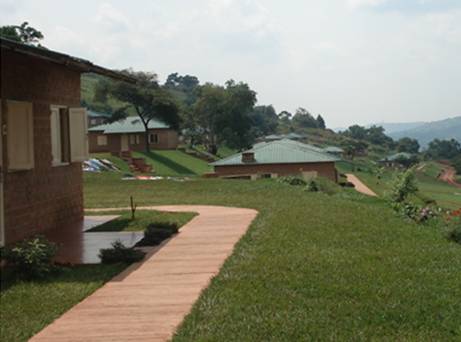 c0193512_1662922.jpg