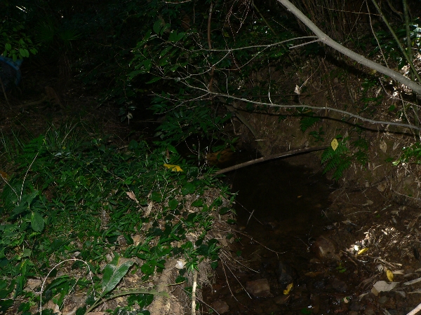 e0002314_21294415.jpg